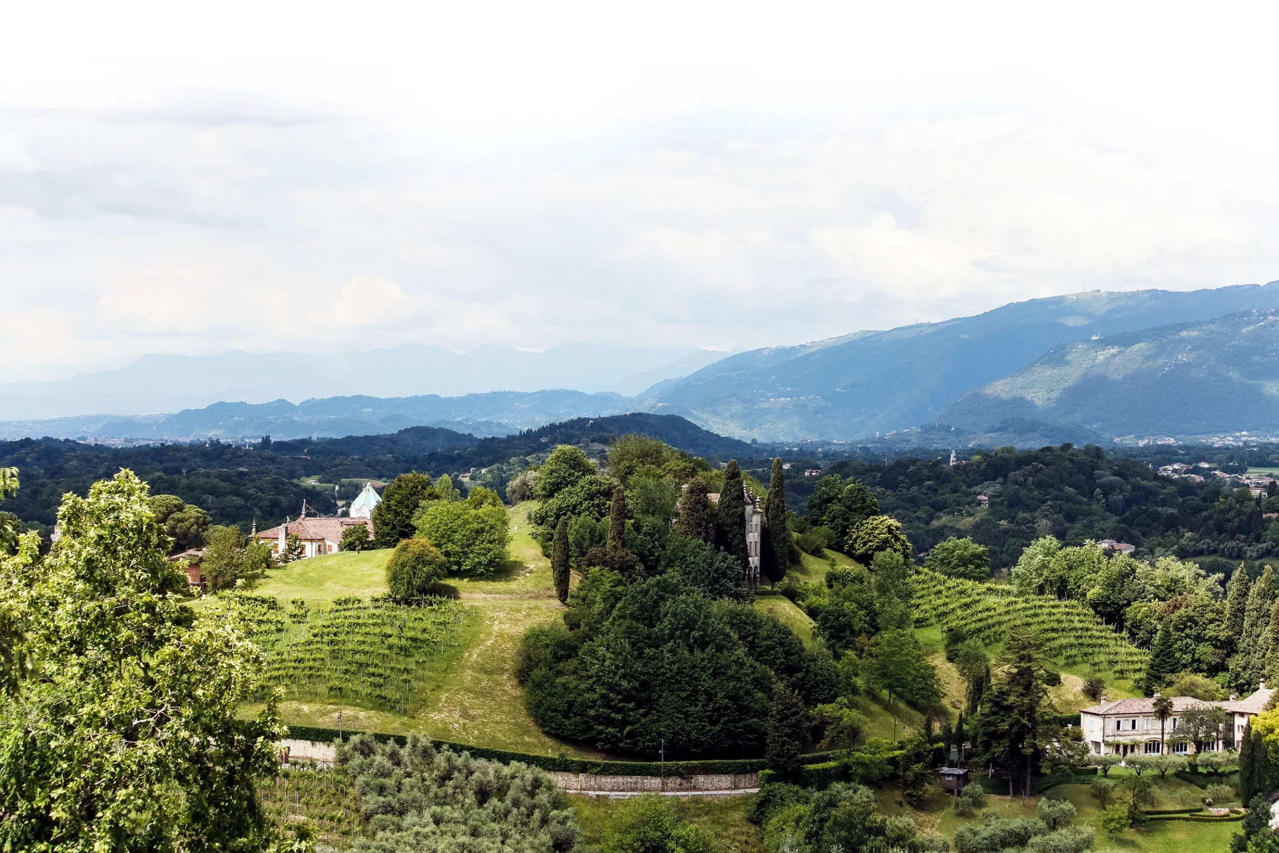 Bedin / Colli Asolani