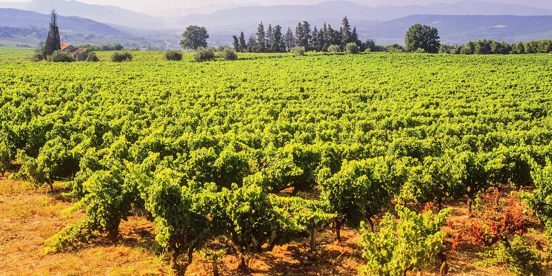 Château Saint-Pierre