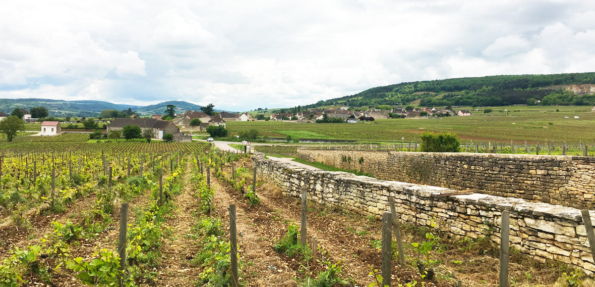 Domaine René Lequin-Colin