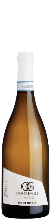 Onorevole Pinot Grigio